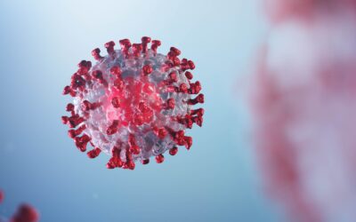 Il Coronavirus è una punizione di Dio?